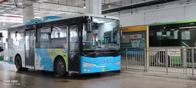 800BUS