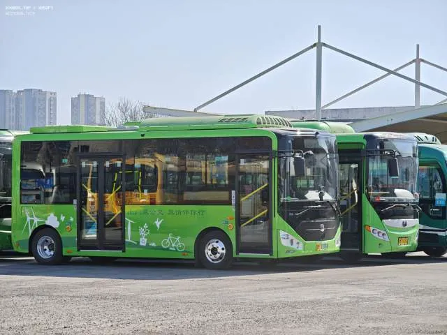 鲁M00386D
