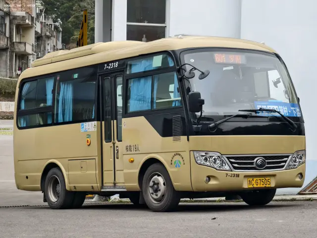 浙CG7505