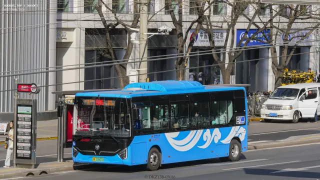 800BUS