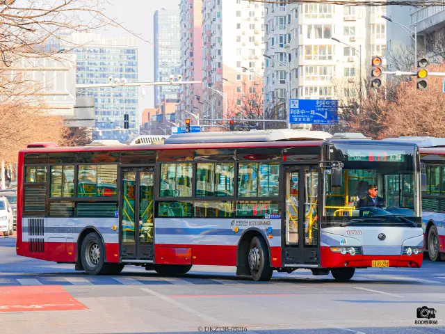 800BUS