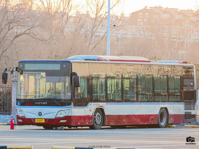 800BUS