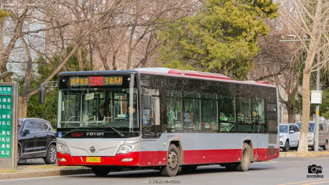 800BUS
