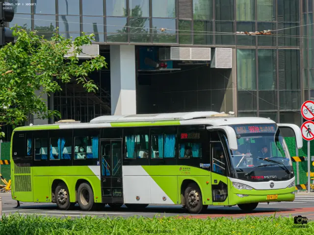 800BUS