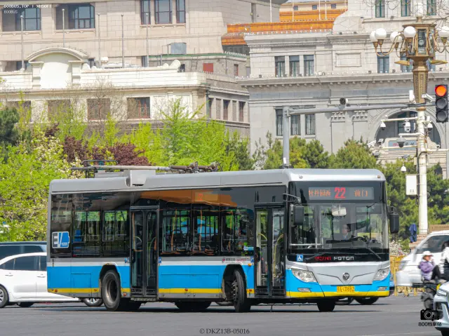 800BUS