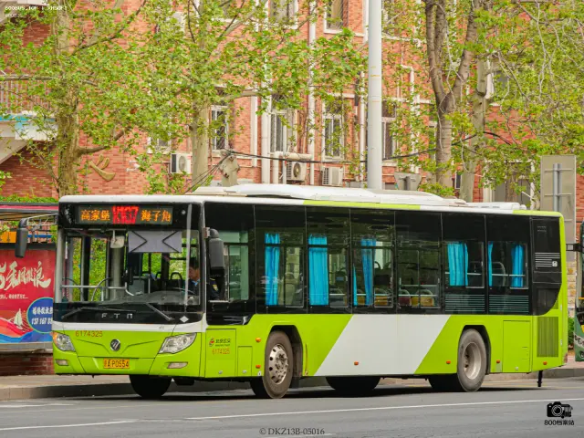 800BUS