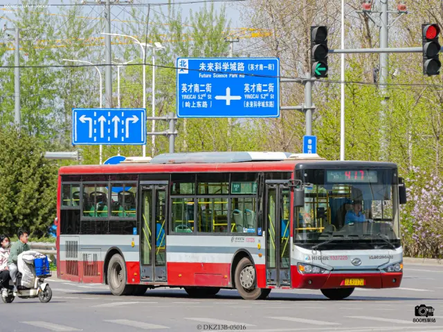 800BUS