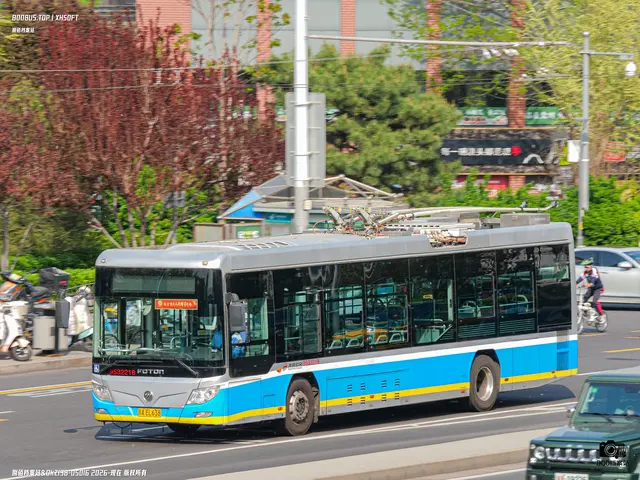 800BUS