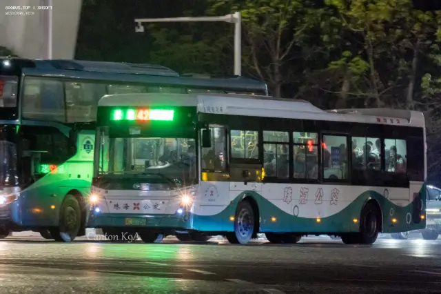 800BUS