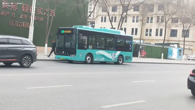 800BUS