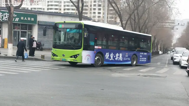 800BUS