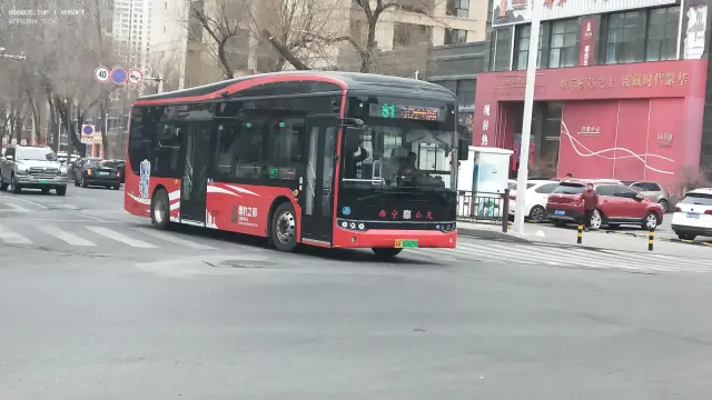 800BUS