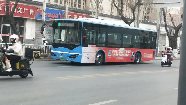 800BUS