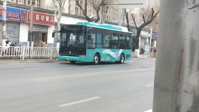 800BUS