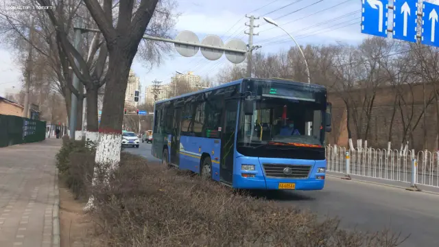 800BUS