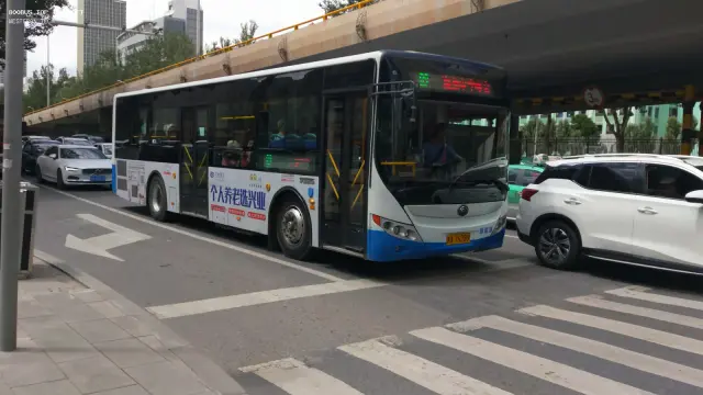 800BUS