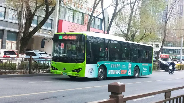 800BUS