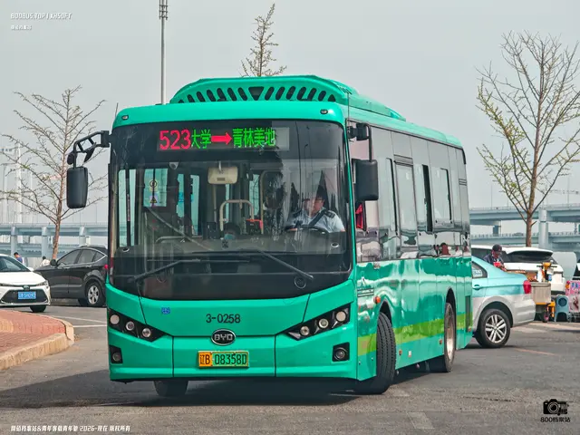 辽B 08358D