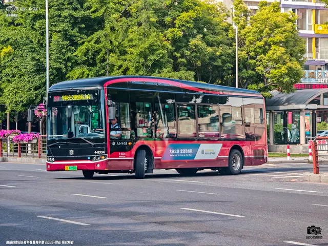 辽B 07207D