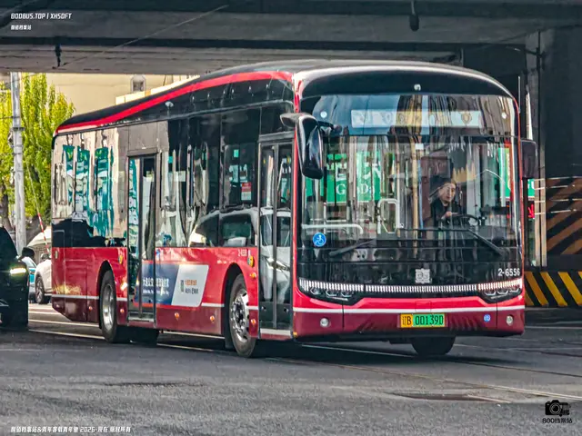 辽B 00139D
