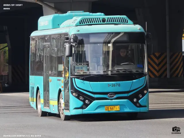 辽B N4263