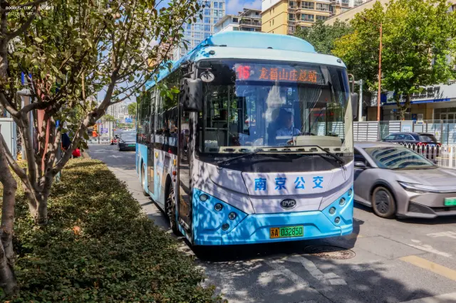 800BUS