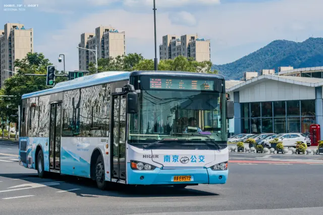 800BUS