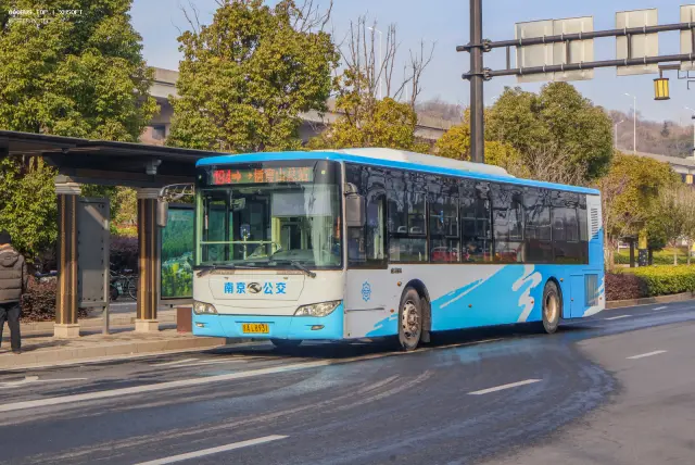 苏A•L8931