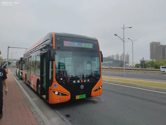 800BUS