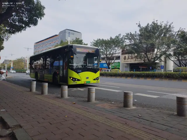 800BUS