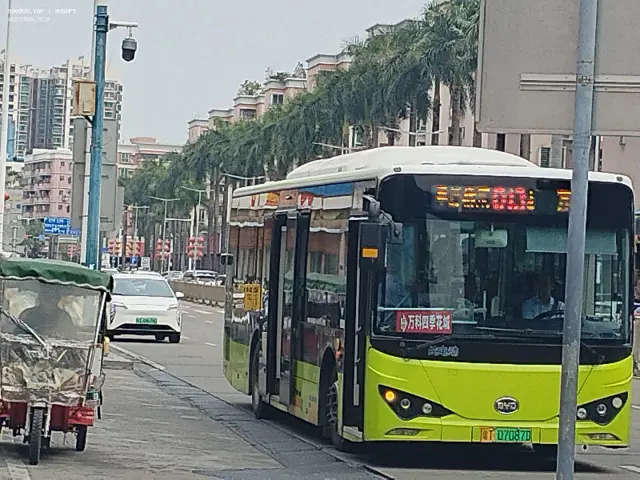 800BUS