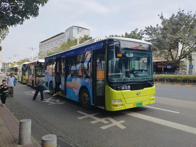 800BUS
