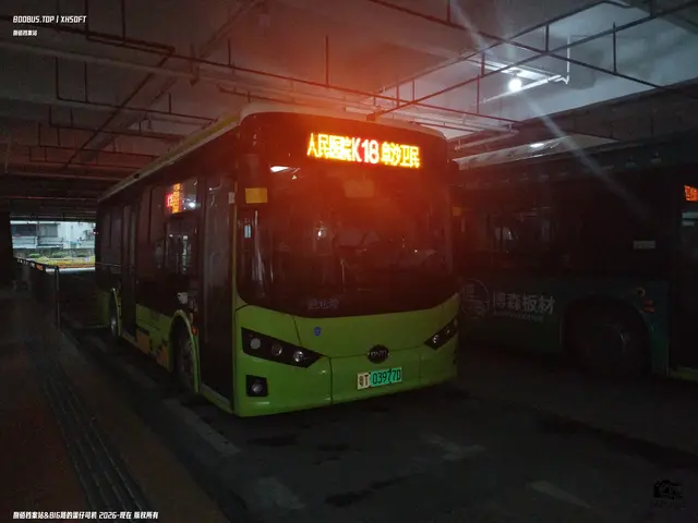 粤T 03977D
