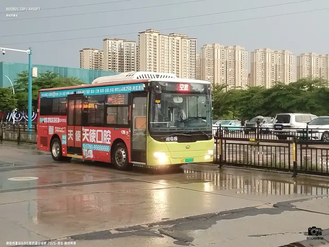 粤T 08637D
