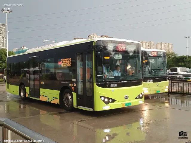 粤T 08365D