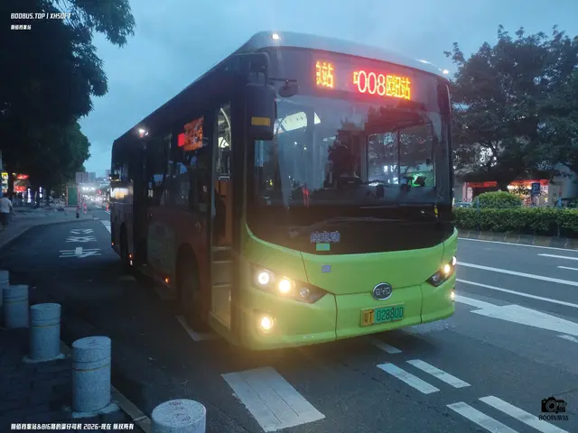 800BUS