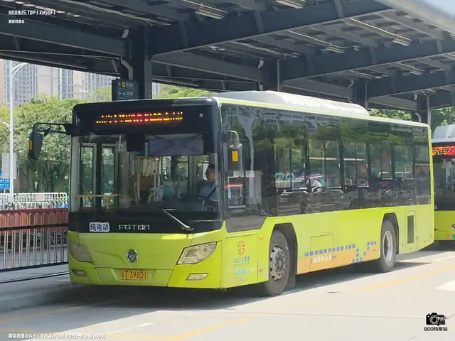 粤T 39801