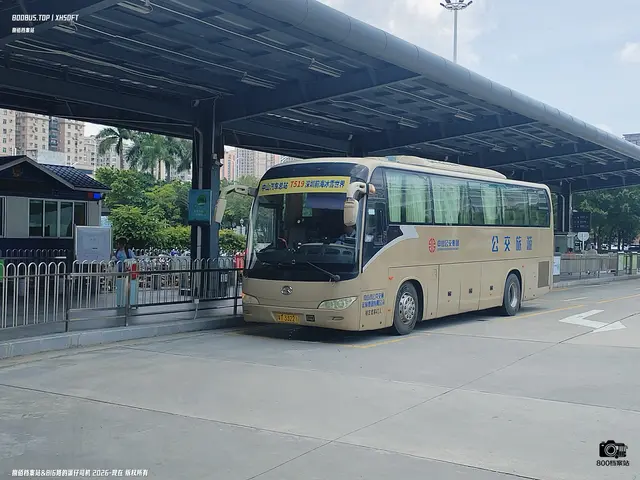 粤T 33221