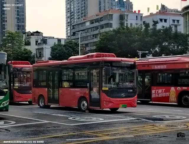 粤A 24553D