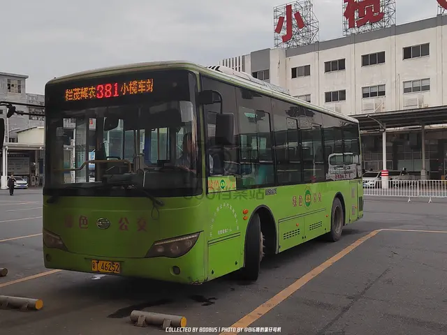 粤T 46252