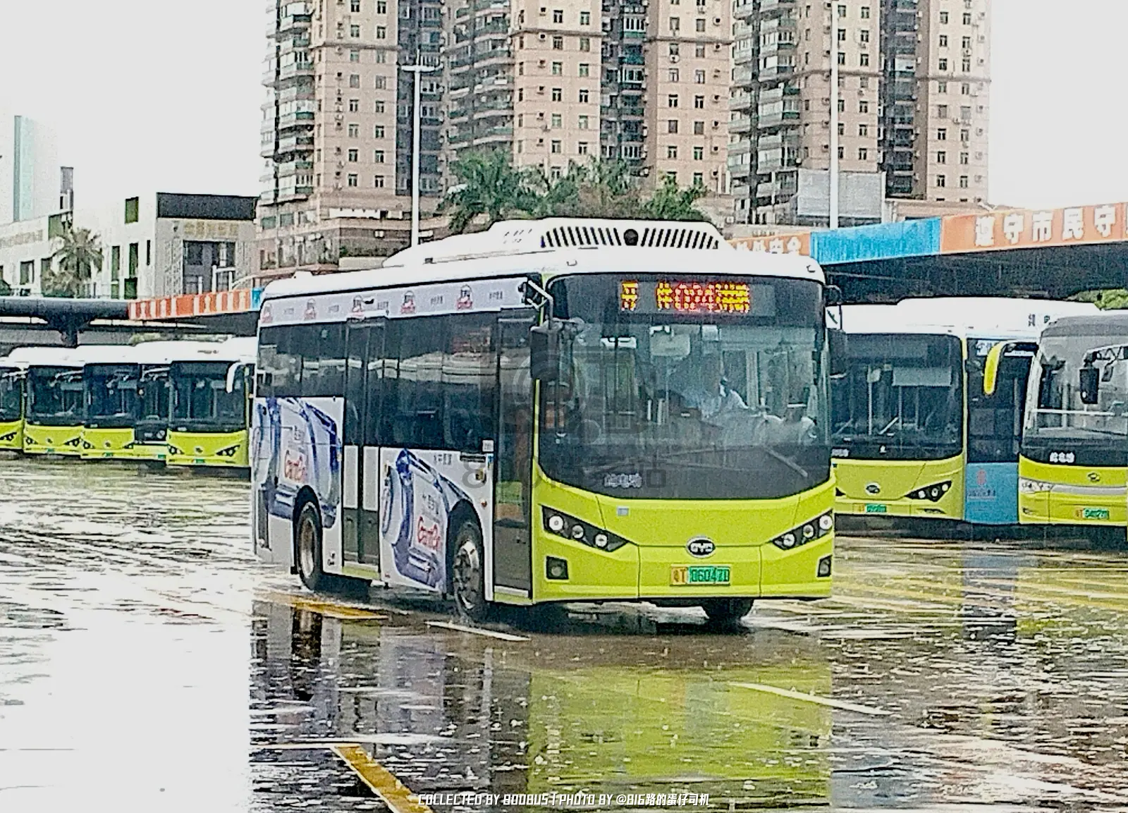 Bus Archive