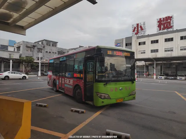 粤T 46015