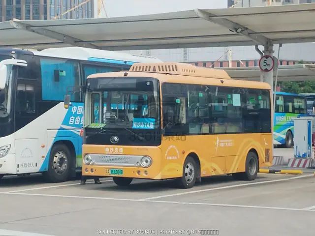 粤A 03384D