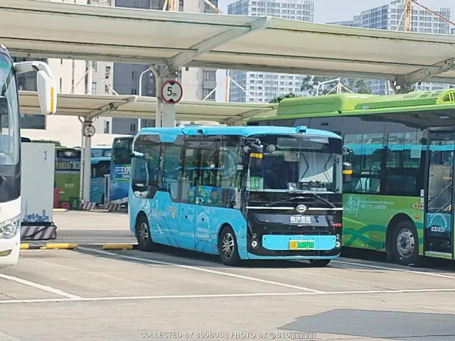 粤A 07461D