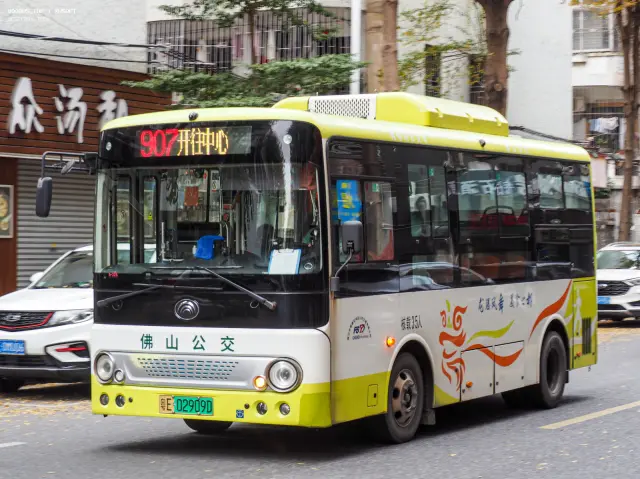 粤E 02909D