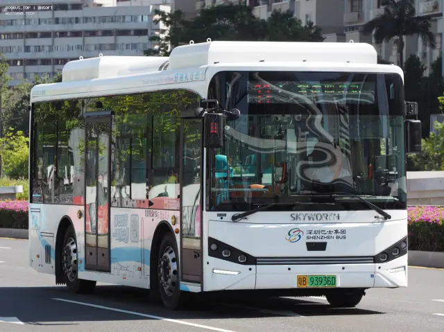 粤B 93936D