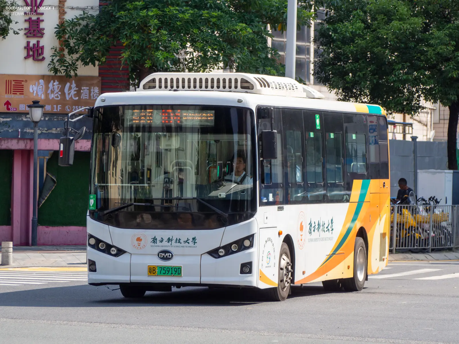 Bus Archive