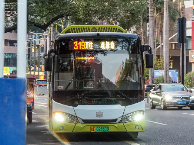 粤E 02559D