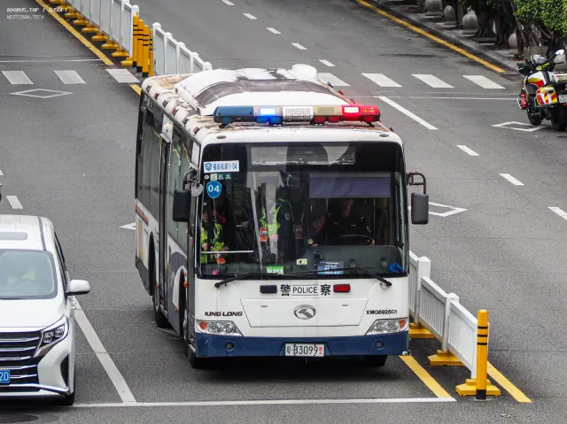 粤B 3099警