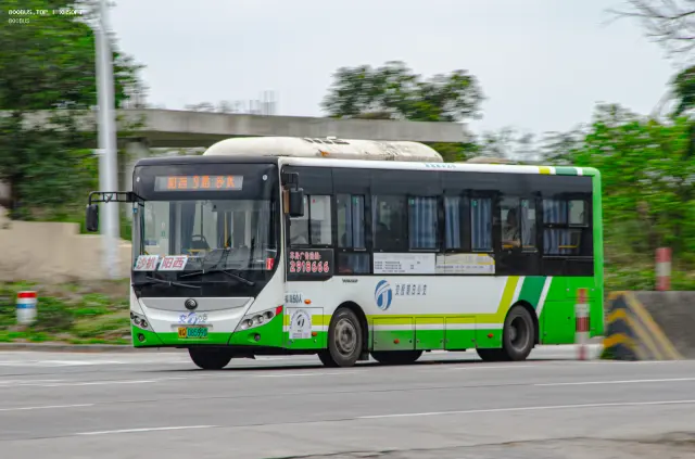800BUS